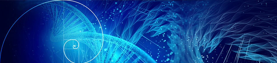 Banner della pagina